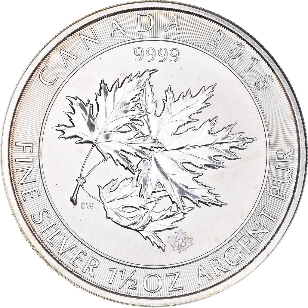 Moneta, Canada, Elizabeth II, 8 Dollars 1,5 Oz, 2016, SPL, Argento