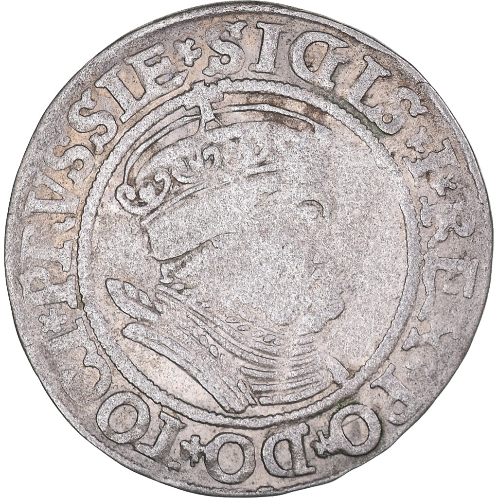 Coin, Poland, Grosz, 1534, Toruń, VF(30-35), Silver
