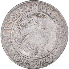 Coin, Poland, Grosz, 1534, Toruń, VF(30-35), Silver