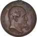 Denmark, médaille de la guerre de 1848-1850, Frederik VII, 1850, Alphée