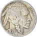 Coin, United States, Buffalo Nickel, 5 Cents, 1936, U.S. Mint, San Francisco
