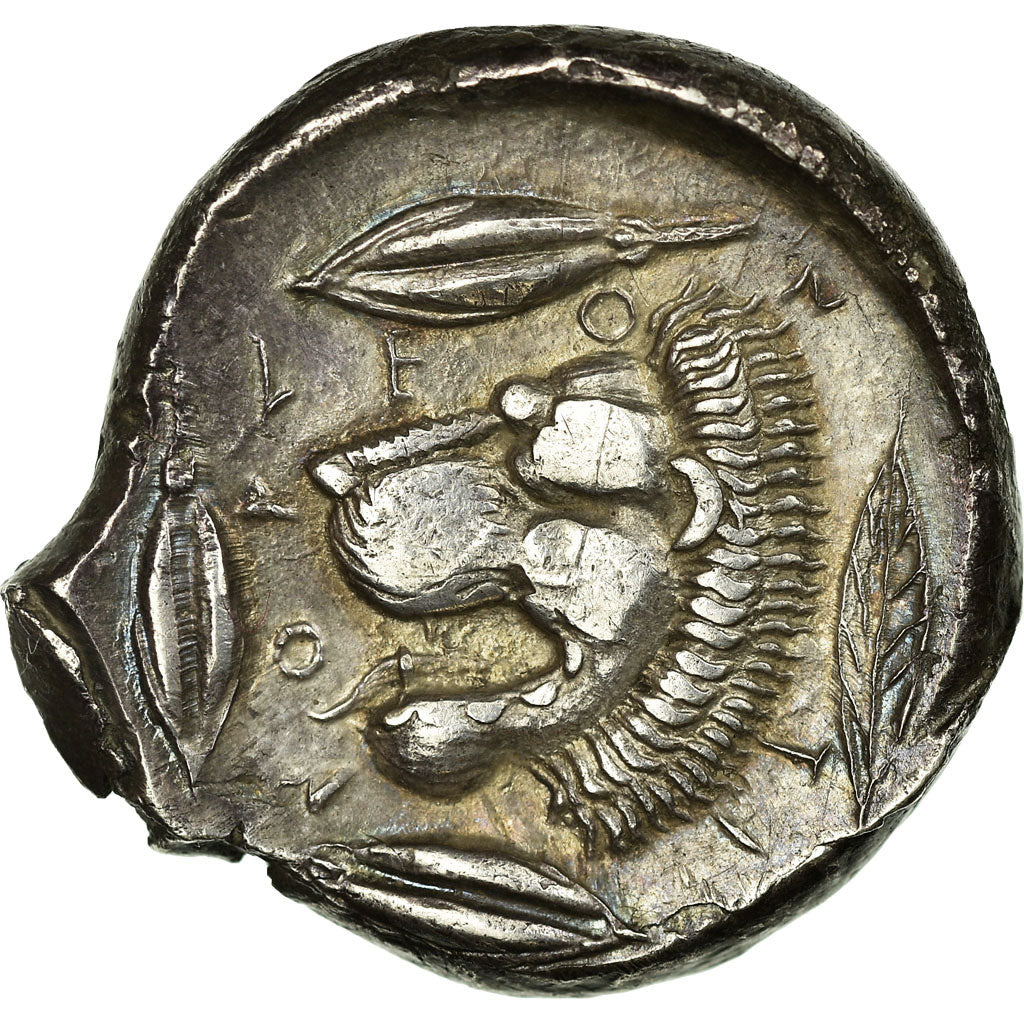 Coin, Sicily, Leontini, Apollo, Tetradrachm, 430-425, AU(50-53), Silver