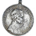 Austria, Fortitudini, Medal, 1916-1918, Karl I, Good Quality, Kautsch, Silver