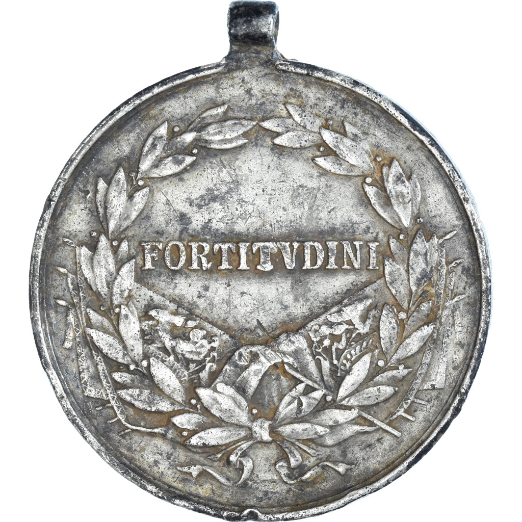 Austria, Fortitudini, Medal, 1916-1918, Karl I, Good Quality, Kautsch, Silver