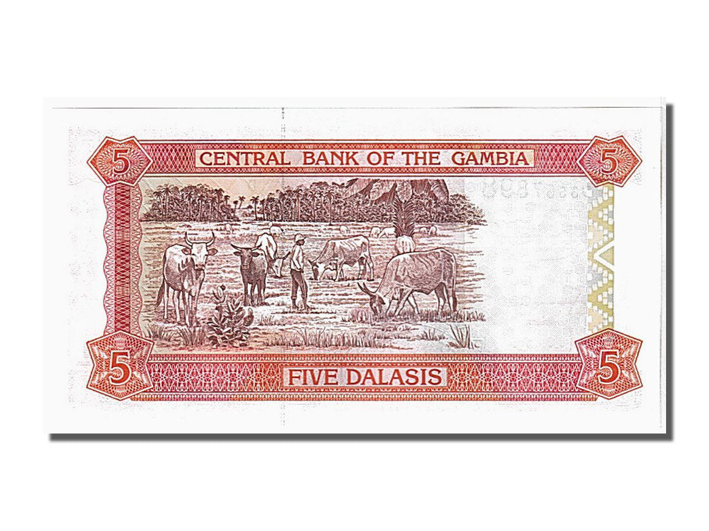 Banconote, Gambia, 5 Dalasis, 2001, FDS