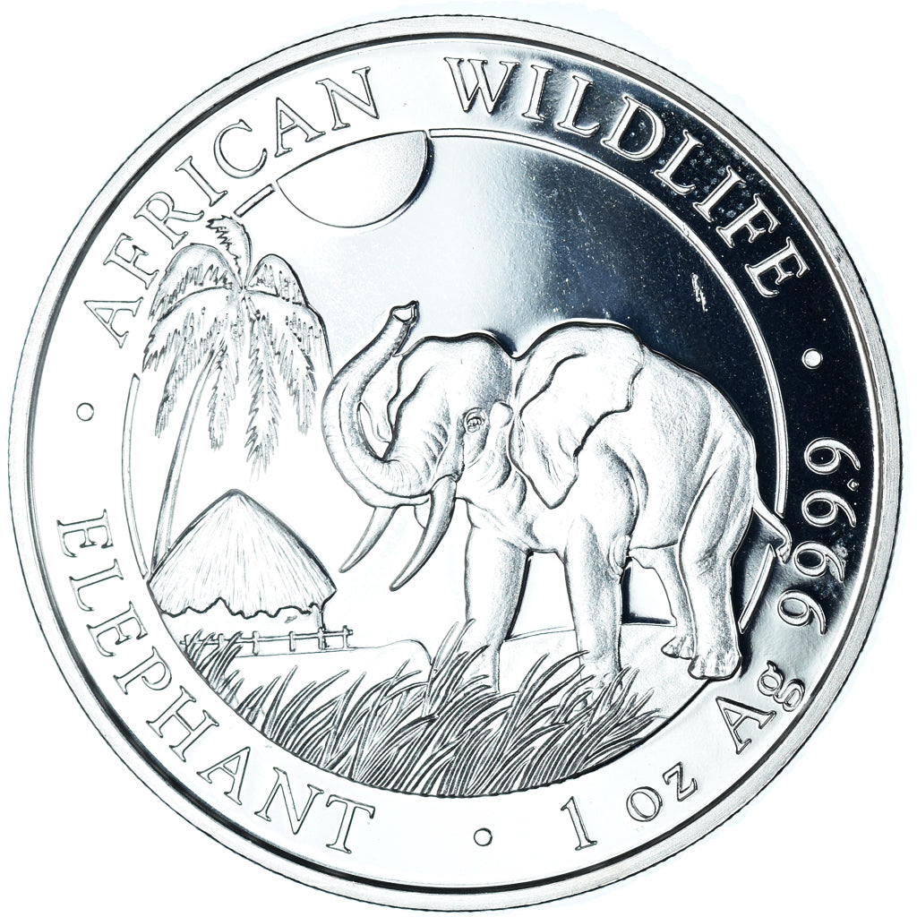 Coin, Somalia, Elephant, 100 Shillings, 2017, Munich, 1 Oz, MS(65-70), Silver