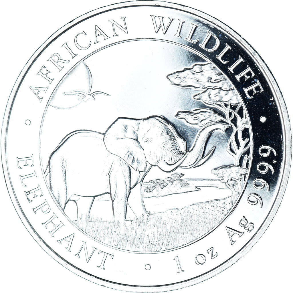 Moneta, Somalia, Elephant, 100 Shillings, 2019, Munich, 1 Oz, FDC, Argento