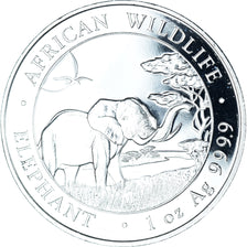 Moneta, Somalia, Elephant, 100 Shillings, 2019, Munich, 1 Oz, FDC, Argento