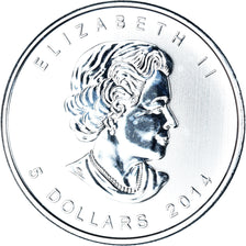 Monnaie, Canada, Elizabeth II, Faucon pèlerin, 5 Dollars, 2014, FDC, Argent