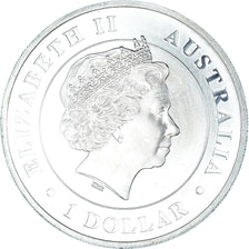 Münze, Australien, Elizabeth II, Australian Funnel-Web Spider, 1 Dollar, 1 Oz