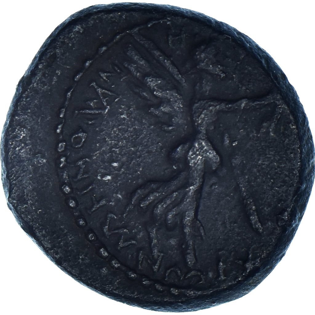 Moneta, Ionia, Caligula, Bronze Æ, 37-41, Smyrna, MB+, Bronzo, RPC:2473