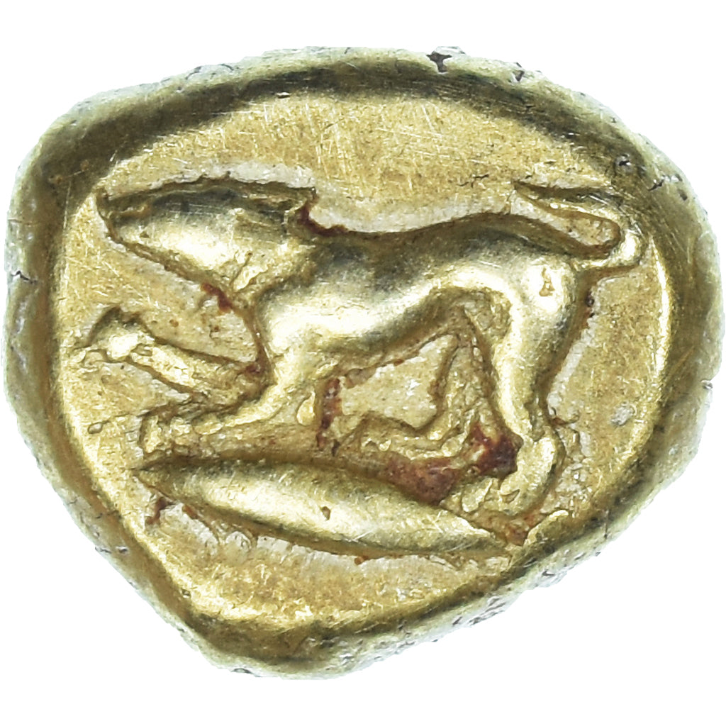 Monnaie, Mysie, 1/6 Statère, 500-450 BC, Cyzique, TB+, Or, SNG-France:231