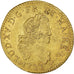 Coin, France, Louis XV, Louis d'or de Béarn aux 2 L, 1722, Pau, Pedigree