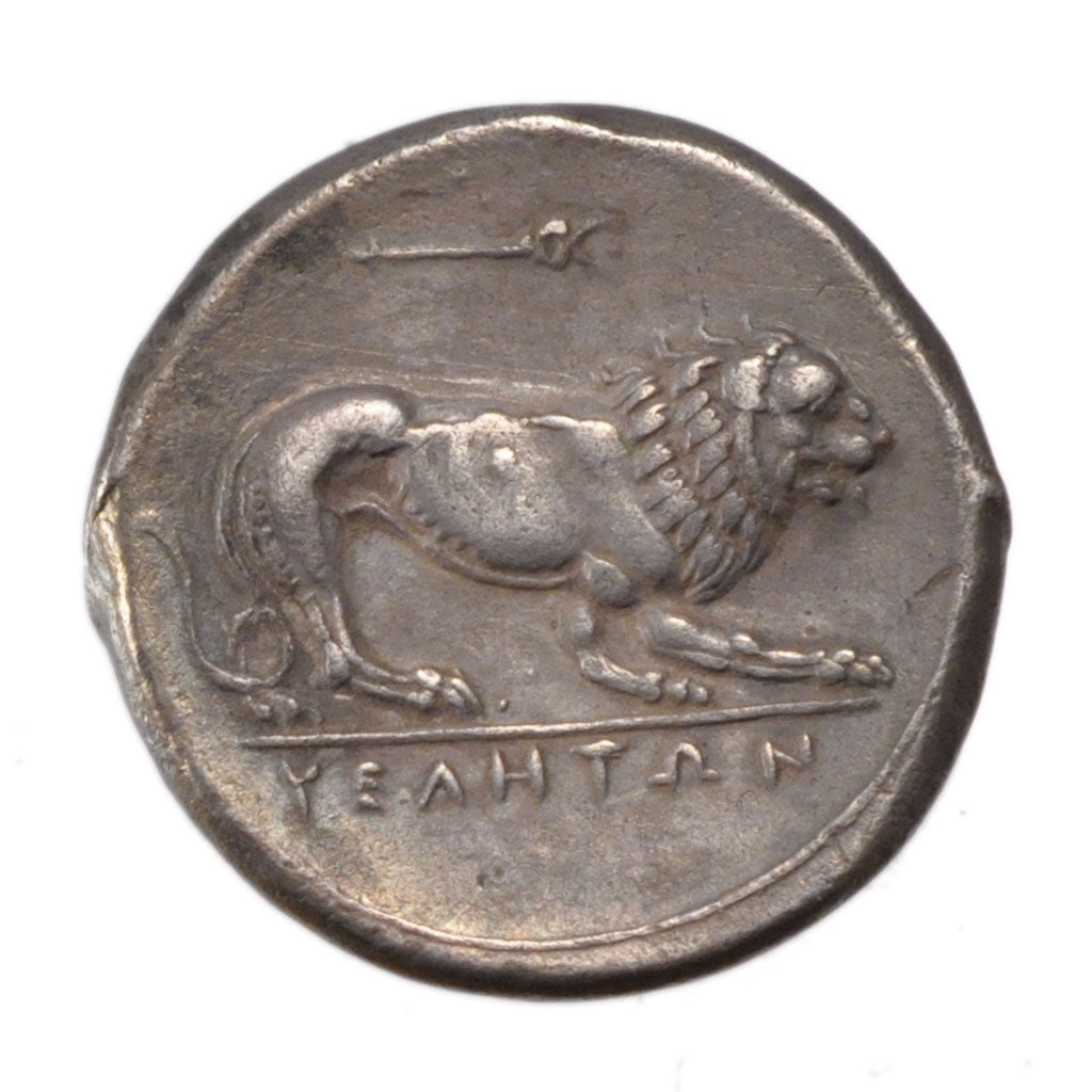 Lucania, Velia, Stater, Velia, AU(50-53), Silver, Pozzi #263v, 7.31