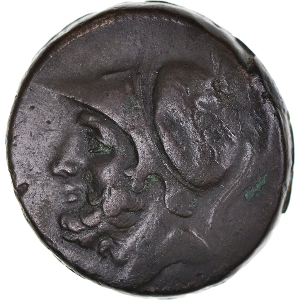 Moneta, Bruttium, Bronze, 214-208 BC, MB+, Bronzo, HN Italy:1987
