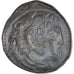 Coin, Kingdom of Macedonia, Alexander III, Bronze, 325-310 BC, EF(40-45)