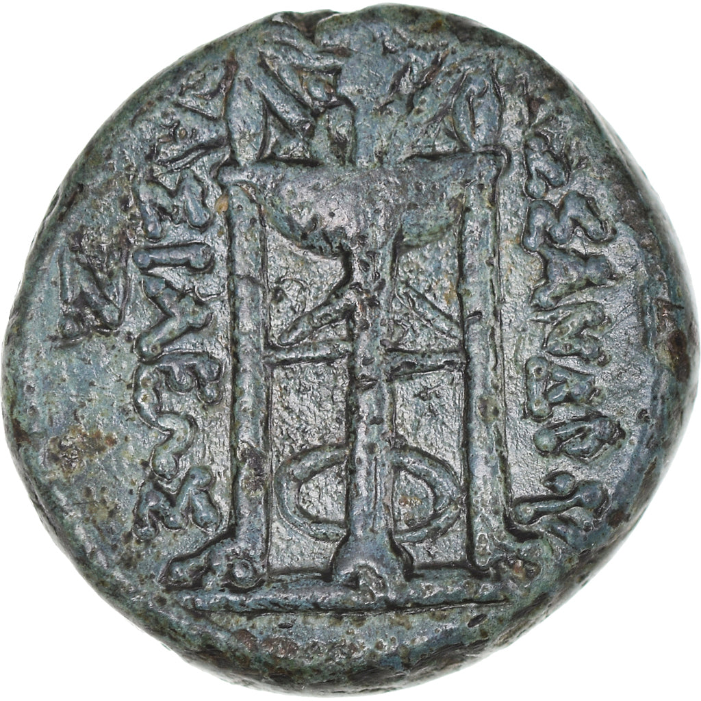 Coin, Kingdom of Macedonia, Kassander, Bronze, 305-297 BC, VF(30-35), Bronze