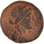 Moneta, Seleucid i Pierie, Bronze, 38/37 BC, Apameia, VF(30-35), Brązowy