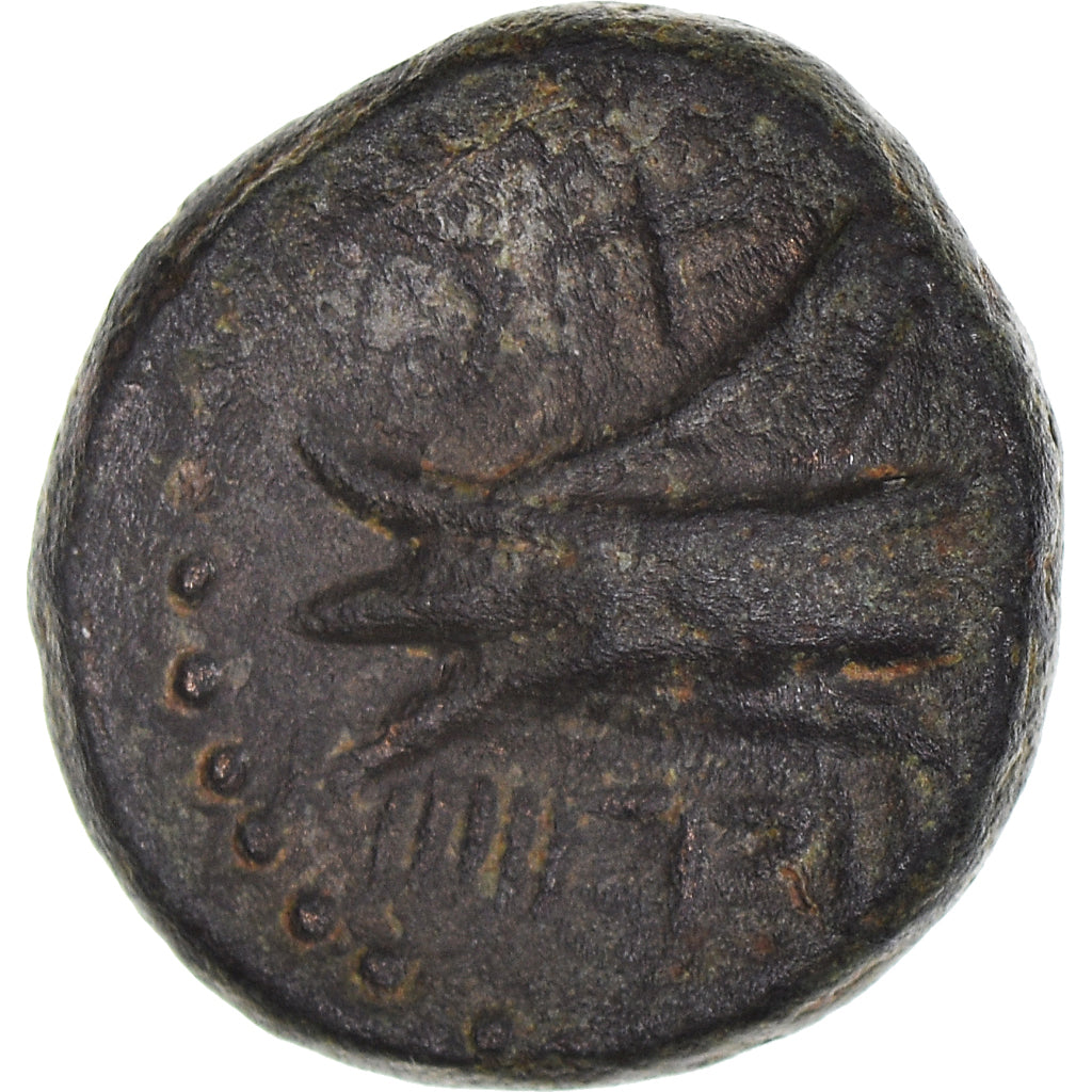 Munten, Fenicië, Obol, 145-144 BC, Arados, FR, Bronzen, HGC:10-88