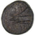 Monnaie, Phénicie, Obole, 145-144 BC, Arados, TB, Bronze, HGC:10-88