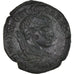 Münze, Moesia Inferior, Severus Alexander, Bronze, 222-235, Marcianopolis, SS