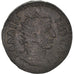 Moneta, Tracja, Gallienus, Bronze, 253-268, Augusta Traiana, EF(40-45)