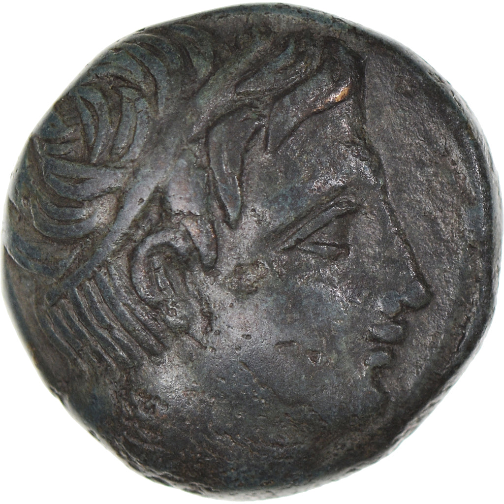 Coin, Kingdom of Macedonia, Philip II, Bronze, 4th-3rd century BC, EF(40-45)