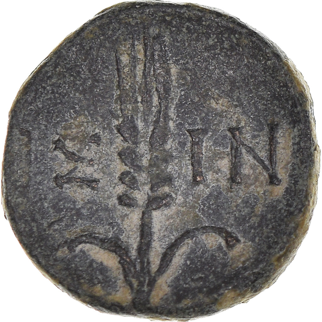 Monnaie, Pisidie, Bronze, 2nd-1st century BC, Isinda, TTB+, Bronze