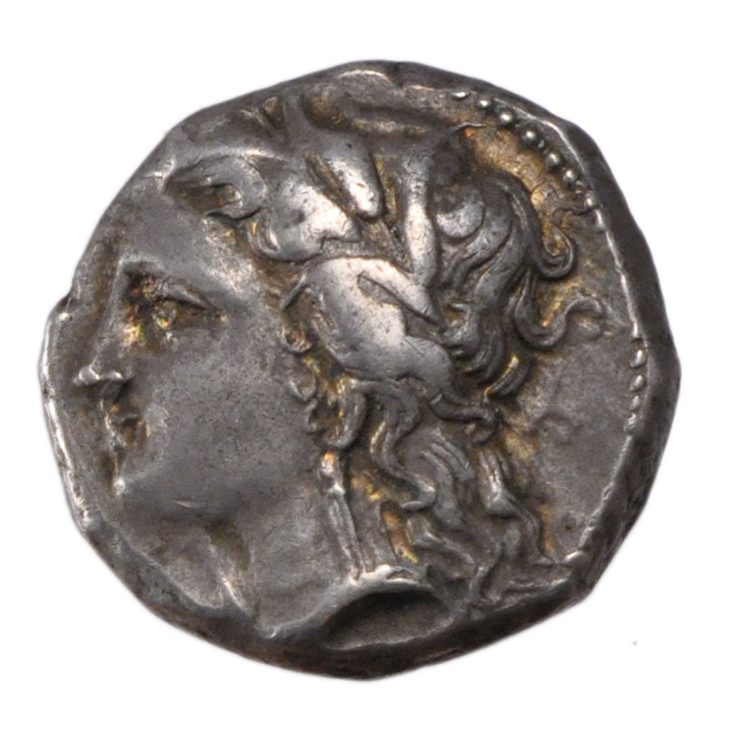 Lucania, Metaponto, Stater, Metapontion, EF(40-45), Silver, 7.90