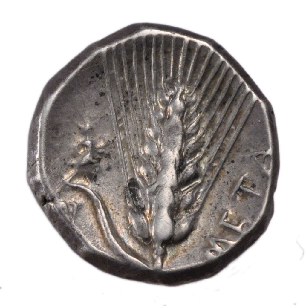 Lucania, Metaponto, Stater, Metapontion, EF(40-45), Silver, 7.90
