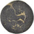 Monnaie, Pisidia, Bronze, 1st century BC, Termessos, TB, Bronze