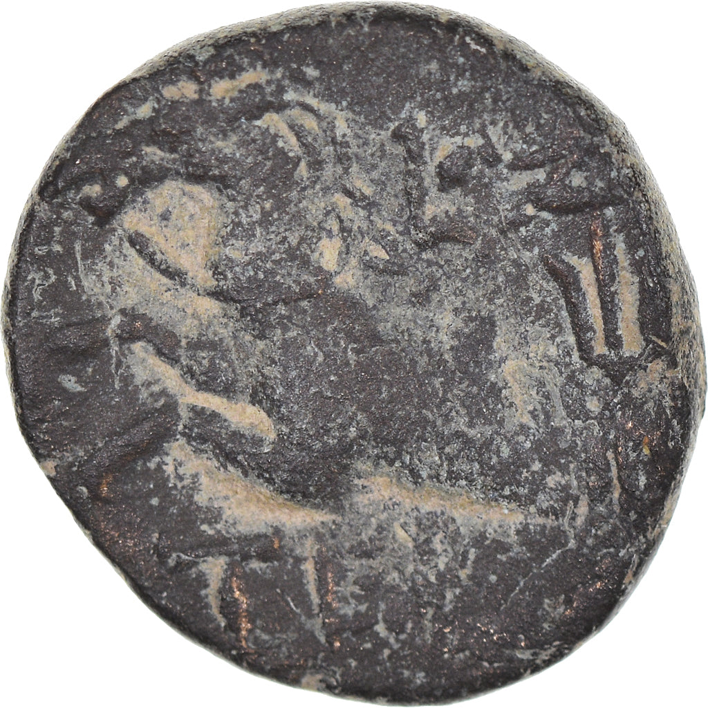Münze, Pisidia, Bronze, ca. 100 BC, Termessos, S+, Bronze