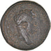 Moneda, Pisidia, Septimius Severus, Bronze Æ, 193-211, Sagalassos, BC+, Bronce