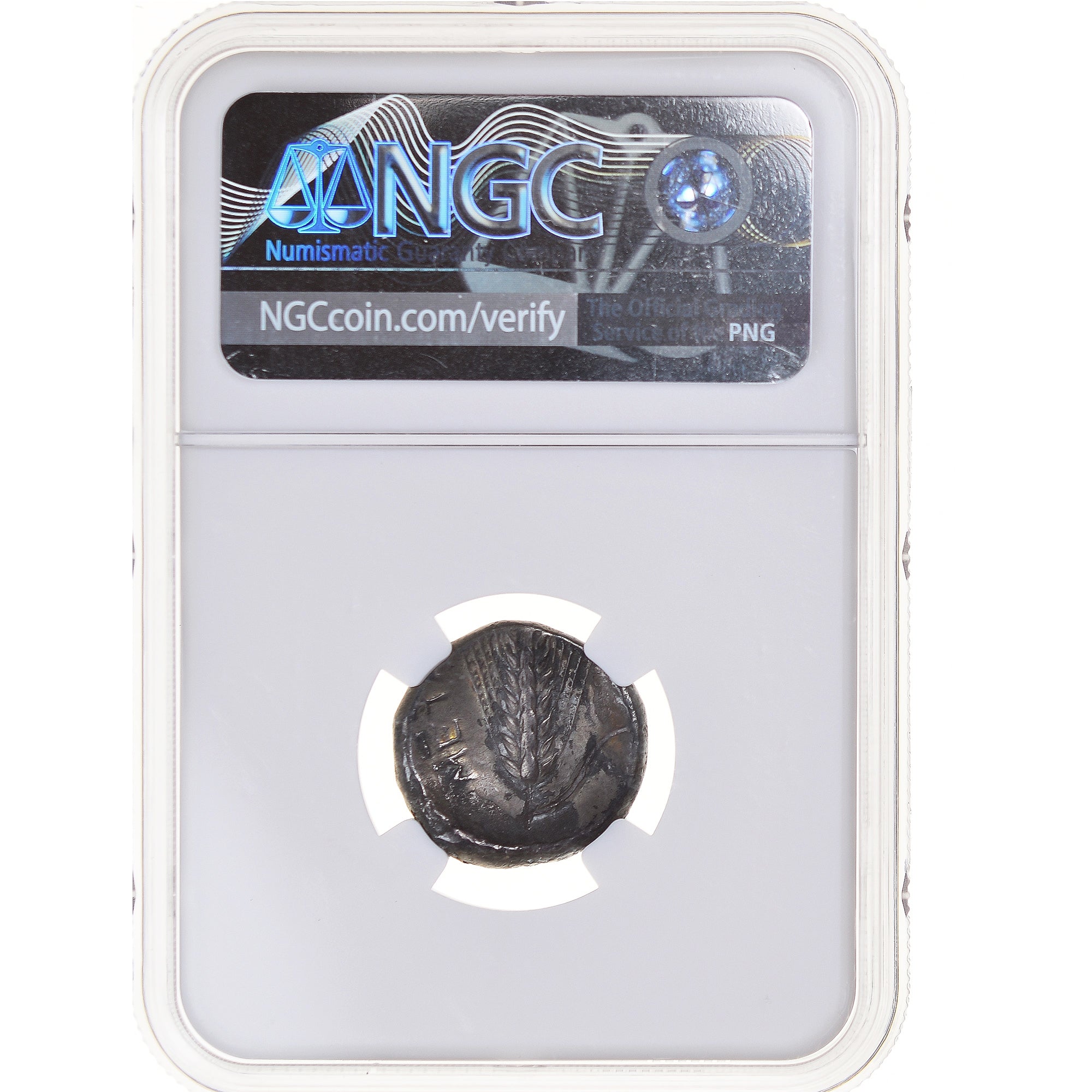 Monnaie, Lucanie, Statère, 330-280 BC, Metapontion, Gradée, NGC, F, B+