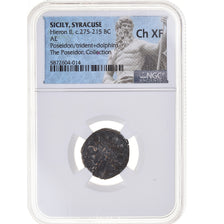 Coin, Sicily, Hieron II, Litra, 275-215 BC, Syracuse, graded, NGC, Ch XF