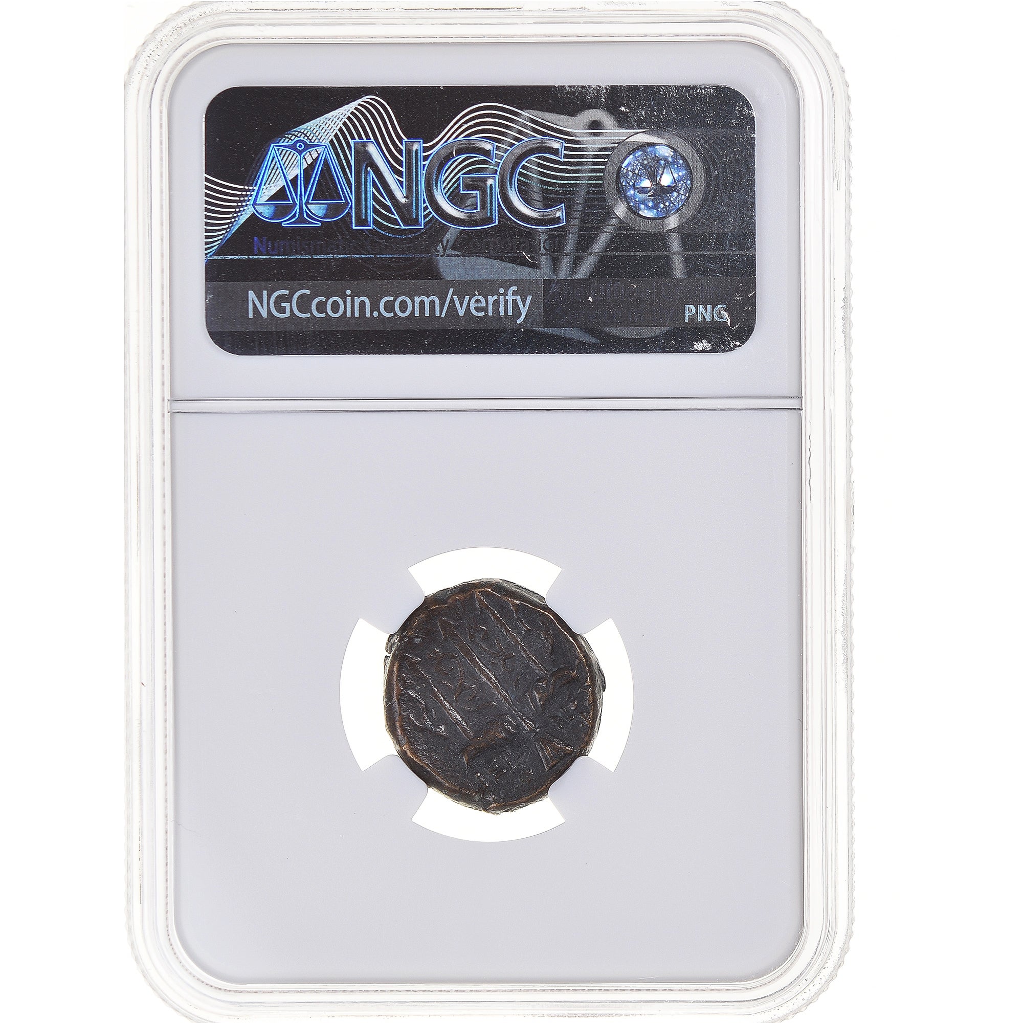 Coin, Sicily, Hieron II, Litra, 275-215 BC, Syracuse, graded, NGC, Ch XF