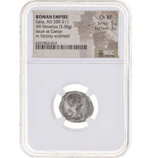Coin, Geta, Denarius, 209-211, Rome, graded, NGC, Ch XF 5/5 3/5, EF(40-45)