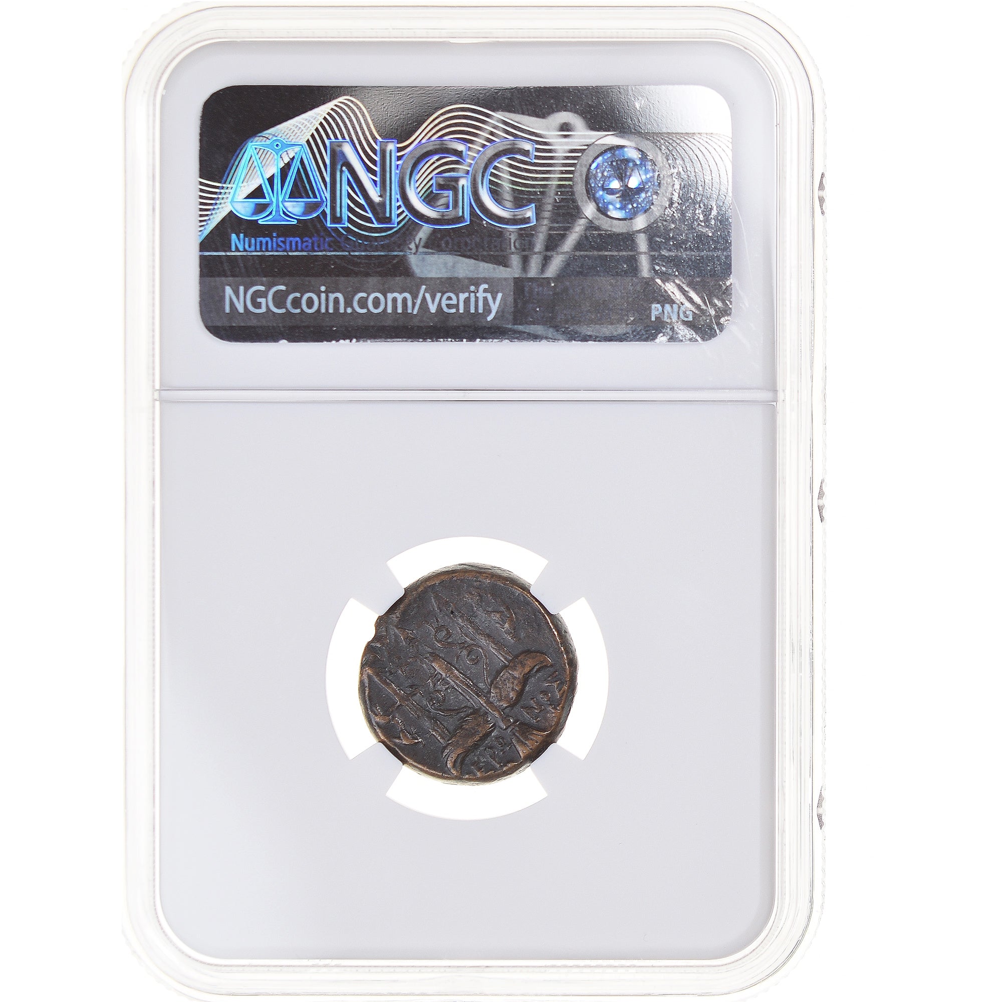 Coin, Sicily, Hieron II, Litra, 275-215 BC, Syracuse, graded, NGC, Ch VF