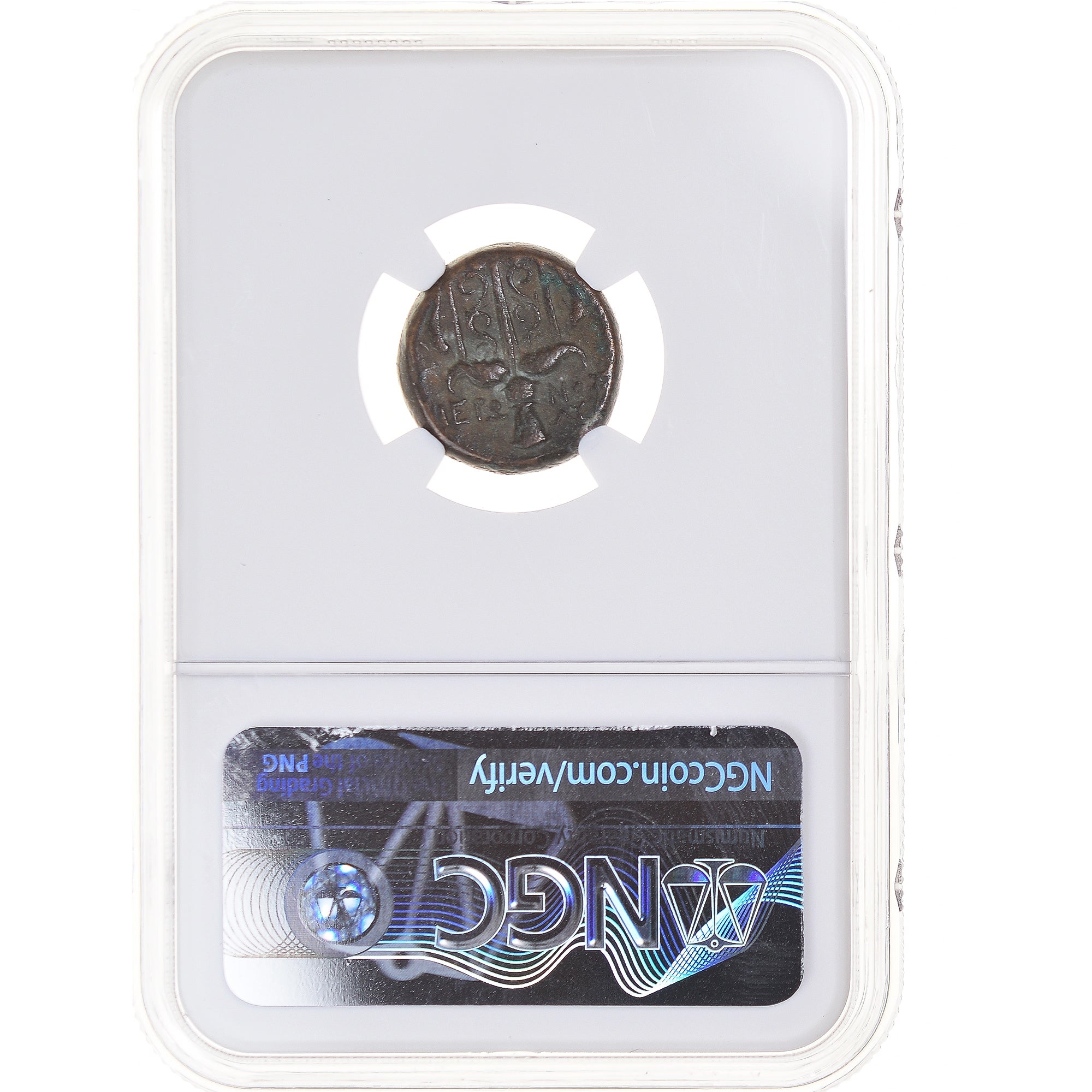 Coin, Sicily, Hieron II, Litra, 275-215 BC, Syracuse, graded, NGC, Ch VF