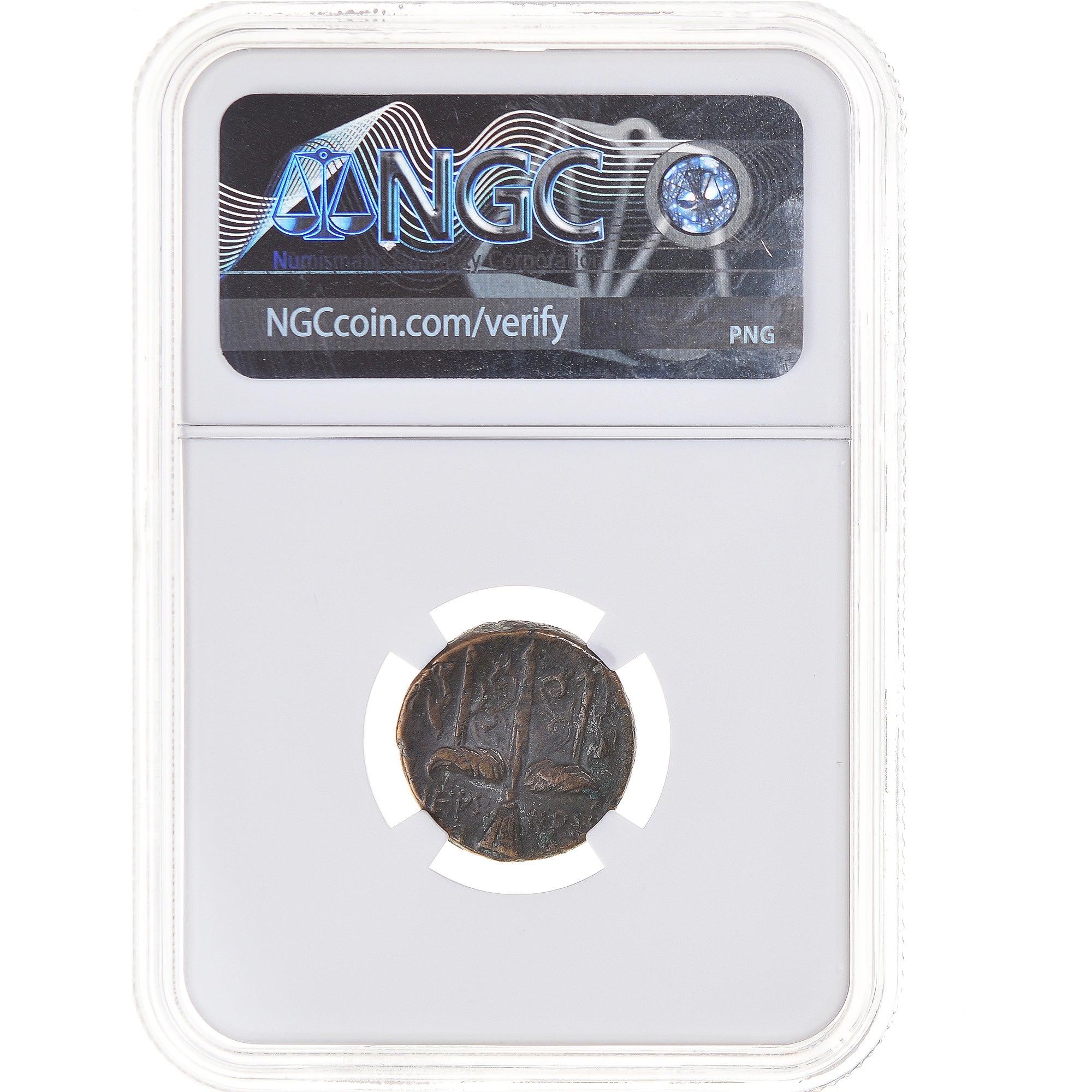 Coin, Sicily, Hieron II, Litra, 275-215 BC, Syracuse, graded, NGC, XF