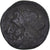 Coin, Sicily, Hieron II, Litra, 275-215 BC, Syracuse, VF(30-35), Bronze