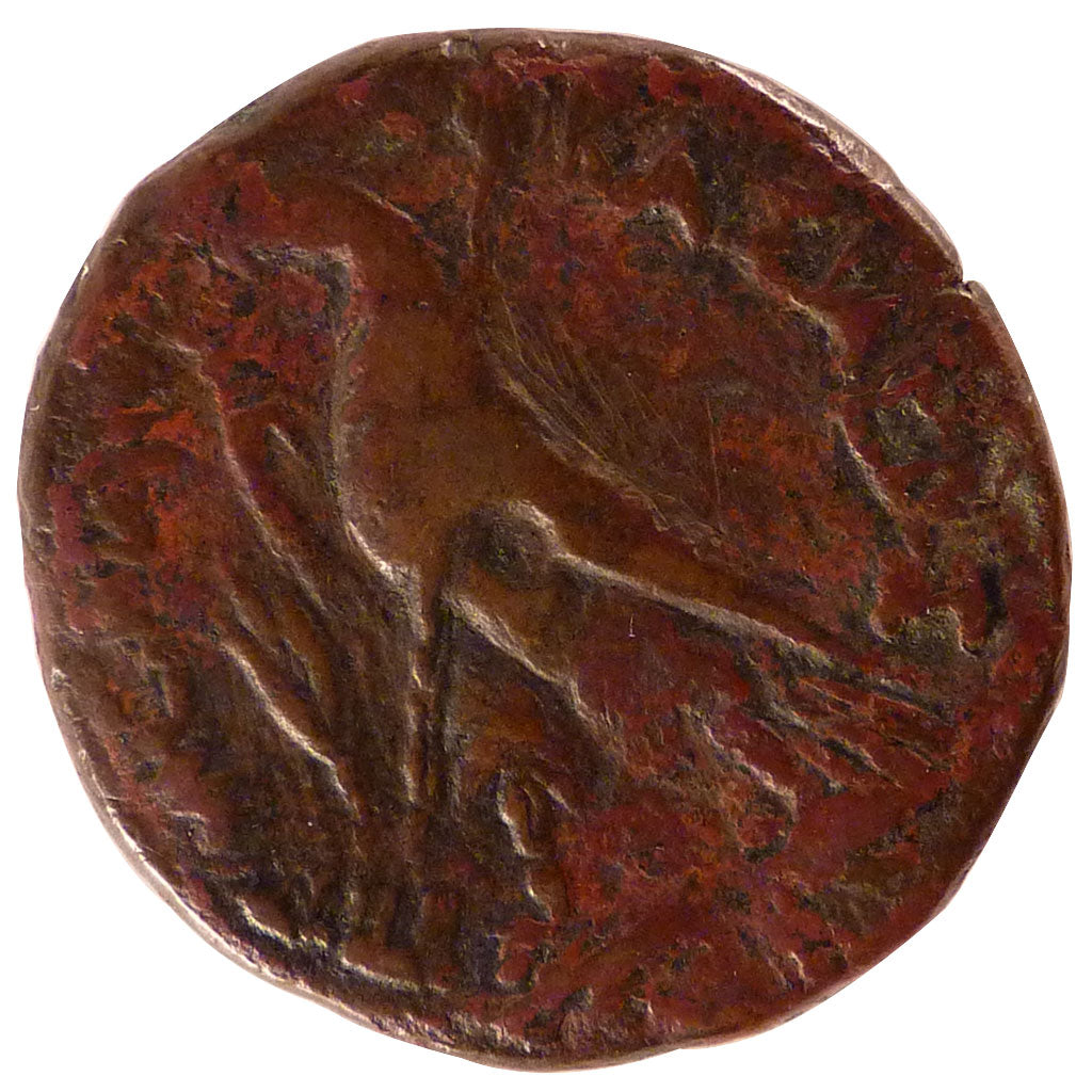 Egypt, Ptolemy VI (181-145 BC), Bronze, EF(40-45), Bronze, Pozzi #Manque, 20.40