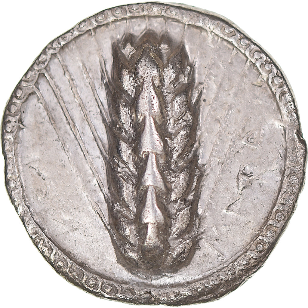 Moneta, Lucania, Stater, 510-470 BC, Metapontion, MB+, Argento, HN Italy:1482