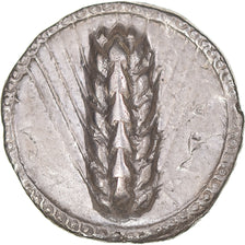Moneta, Lucania, Stater, 510-470 BC, Metapontion, MB+, Argento, HN Italy:1482
