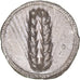 Moneta, Lucania, Stater, 510-470 BC, Metapontion, MB+, Argento, HN Italy:1482