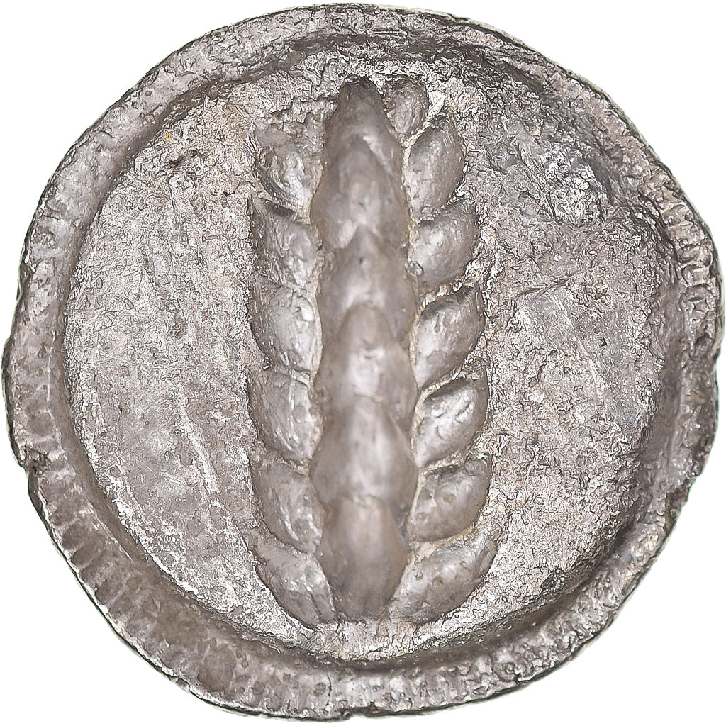 Moneta, Lucania, Stater, 510-470 BC, Metapontion, MB+, Argento, HN Italy:1482