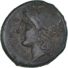 Coin, Campania, Bronze, ca. 265-240 BC, Cales, VF(30-35), Bronze, HGC:376