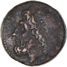 Coin, Sicily, Hieron II, Bronze, 275-215 BC, Syracuse, VF(20-25), Bronze
