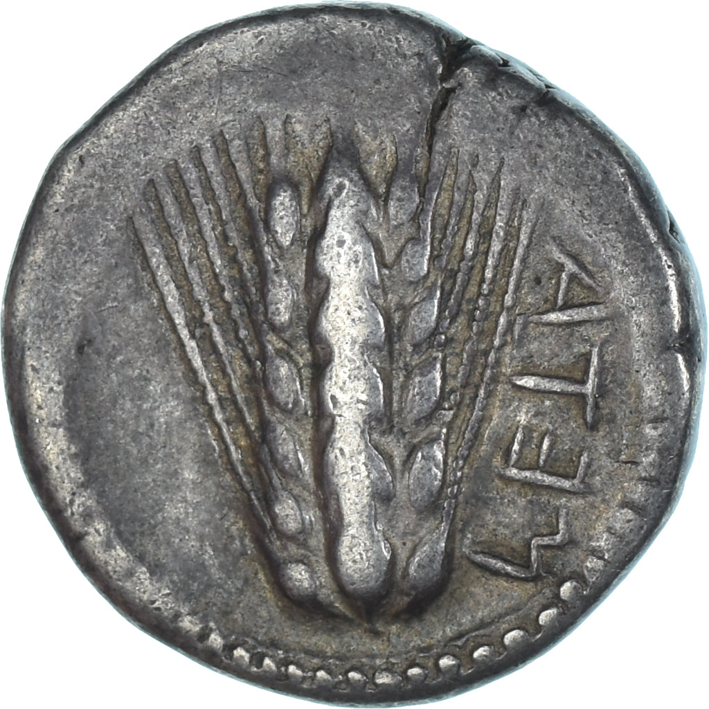 Coin, Lucania, Stater, 470-440 BC, Metapontion, EF(40-45), Silver