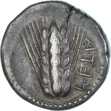 Coin, Lucania, Stater, 470-440 BC, Metapontion, EF(40-45), Silver
